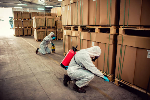 Best Ant Control Services  in West Cape May, NJ