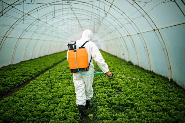 Best Pest Removal Services  in West Cape May, NJ