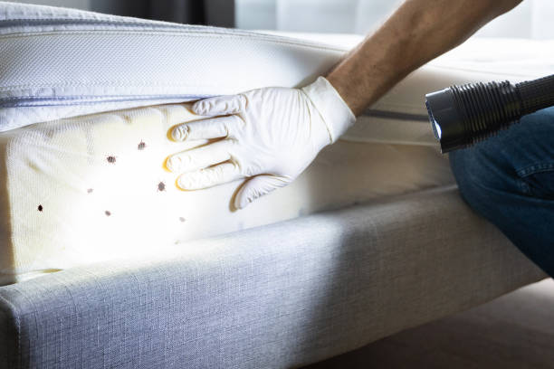 Trusted West Cape May, NJ Pest Control Experts