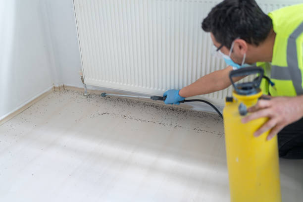 Reliable West Cape May, NJ Pest Control Solutions